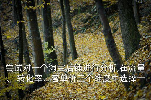 嘗試對(duì)一個(gè)淘寶店鋪進(jìn)行分析,在流量、 轉(zhuǎn)化率、客單價(jià)三個(gè)維度中選擇一...