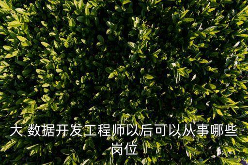 大 數(shù)據(jù)開發(fā)工程師以后可以從事哪些崗位