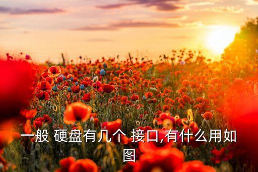 一般 硬盤有幾個 接口,有什么用如圖