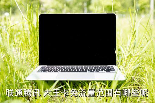 大王卡 數(shù)據(jù)線,卓大王數(shù)據(jù)線