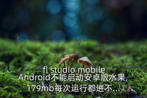 fl studio mobile數(shù)據(jù)庫(kù)