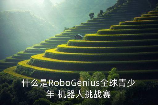 什么是RoboGenius全球青少年 機器人挑戰(zhàn)賽