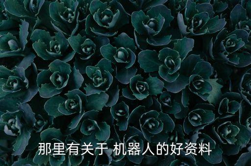 26個秘密-機(jī)器人11,作業(yè)機(jī)器人的秘密讀后感