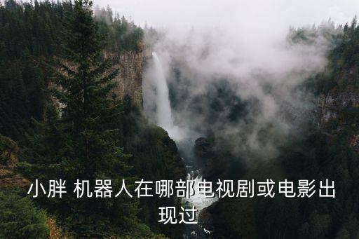 我的機器人小胖一,小胖機器人e01說明書