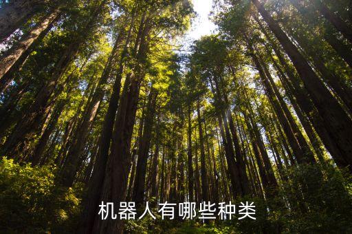  機(jī)器人有哪些種類