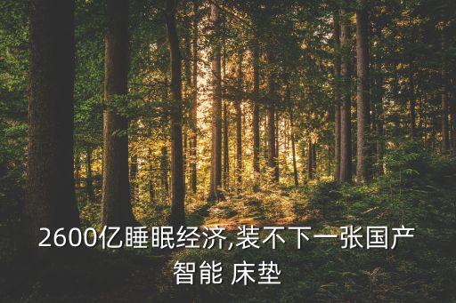 2600億睡眠經濟,裝不下一張國產智能 床墊