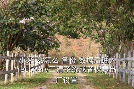  小米 2s怎么 備份 數(shù)據(jù)后進(jìn)入recovery三清系統(tǒng)或者恢復(fù)出廠設(shè)置