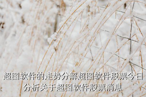 超圖軟件的走勢分解超圖軟件股票今日分析關(guān)于超圖軟件股票消息