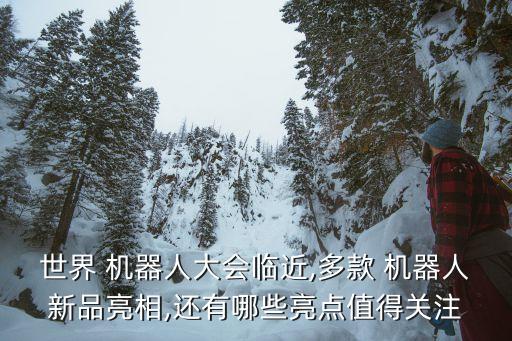 世界 機(jī)器人大會臨近,多款 機(jī)器人新品亮相,還有哪些亮點(diǎn)值得關(guān)注