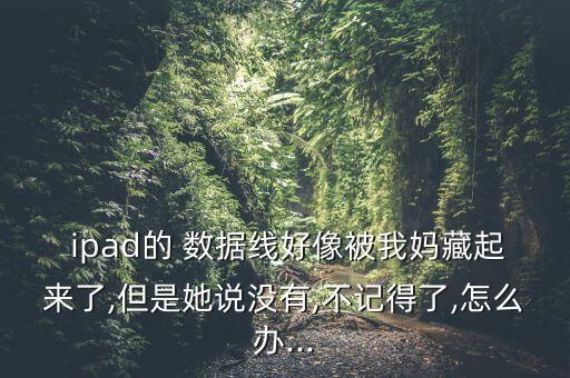 ipad沒有數(shù)據(jù)線