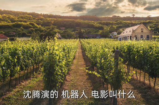 電影 機器人,電影機器人總動員是哪個國家制作的
