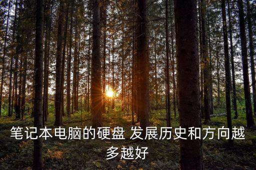 數(shù)據(jù)存儲(chǔ)的發(fā)展歷史,wincc歷史數(shù)據(jù)存儲(chǔ)位置