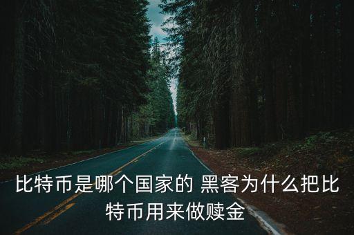 比特幣是哪個國家的 黑客為什么把比特幣用來做贖金