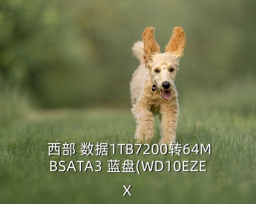  西部 數(shù)據(jù)1TB7200轉64MBSATA3 藍盤(WD10EZEX
