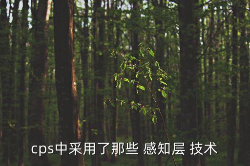 cps中采用了那些 感知層 技術(shù)