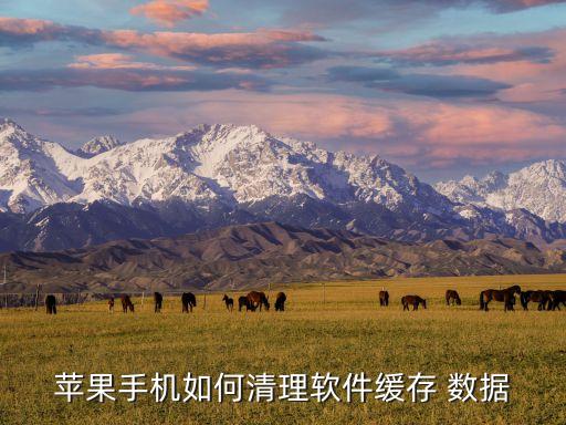 蘋果手機如何清理軟件緩存 數(shù)據(jù)