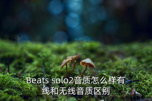 beats solo2 數(shù)據(jù)線,Beats Solo2 Wireless