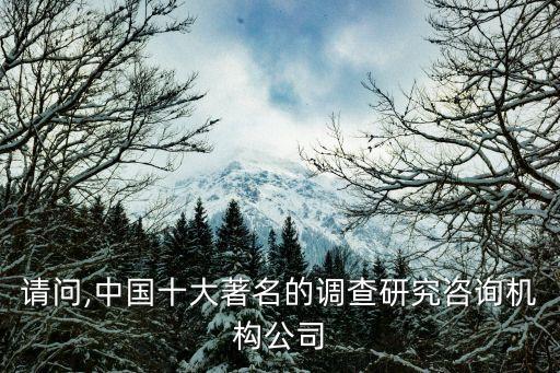 請問,中國十大著名的調(diào)查研究咨詢機(jī)構(gòu)公司