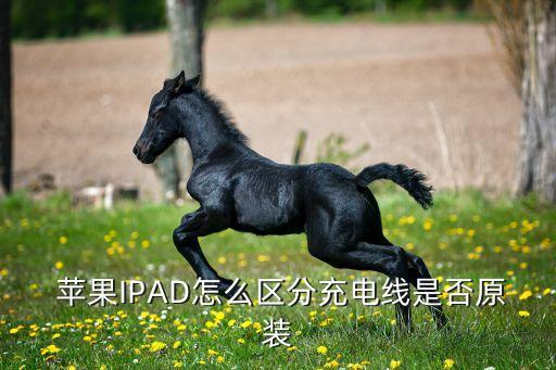  蘋果IPAD怎么區(qū)分充電線是否原裝