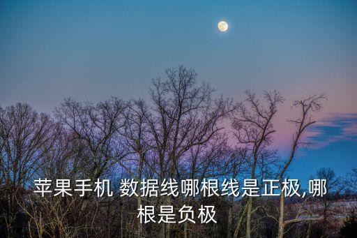  蘋果手機 數(shù)據(jù)線哪根線是正極,哪根是負(fù)極