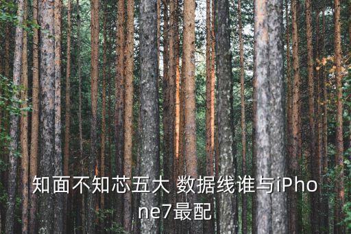 蘋果7數(shù)據(jù)線型號,蘋果數(shù)據(jù)線型號1702和2441哪個好