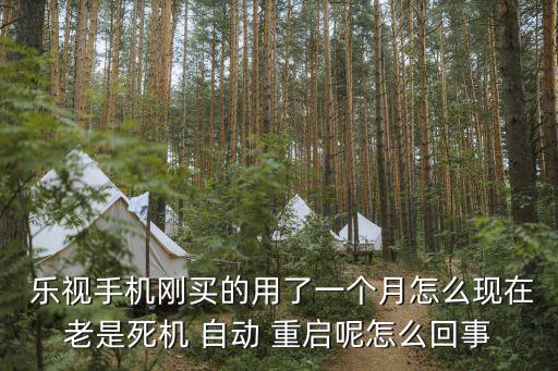 樂視2一直自動重啟,iphone一直自動重啟