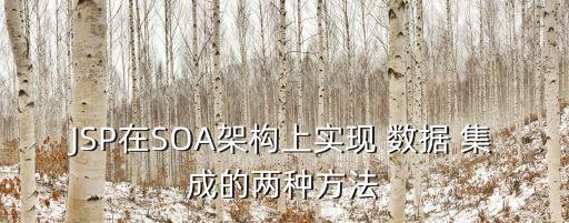 JSP在SOA架構(gòu)上實現(xiàn) 數(shù)據(jù) 集成的兩種方法