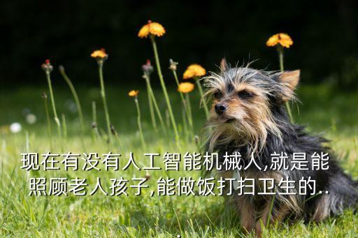 現(xiàn)在有沒(méi)有人工智能機(jī)械人,就是能 照顧老人孩子,能做飯打掃衛(wèi)生的...