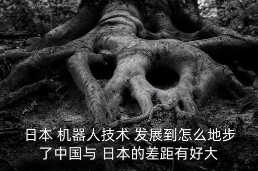  日本 機(jī)器人技術(shù) 發(fā)展到怎么地步了中國(guó)與 日本的差距有好大