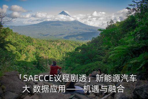 「SAECCE議程劇透」新能源汽車大 數(shù)據(jù)應(yīng)用——機(jī)遇與融合