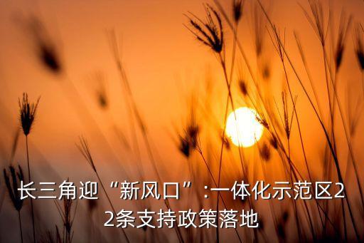 長三角迎“新風口”:一體化示范區(qū)22條支持政策落地