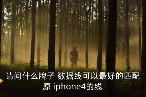 iphone4工程數(shù)據(jù)線,iPhone4數(shù)據(jù)線