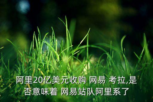 網(wǎng)易考拉的相關(guān)數(shù)據(jù)