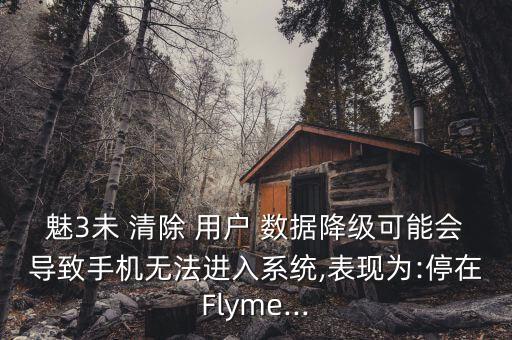 魅3未 清除 用戶 數(shù)據(jù)降級可能會導(dǎo)致手機無法進入系統(tǒng),表現(xiàn)為:停在Flyme...