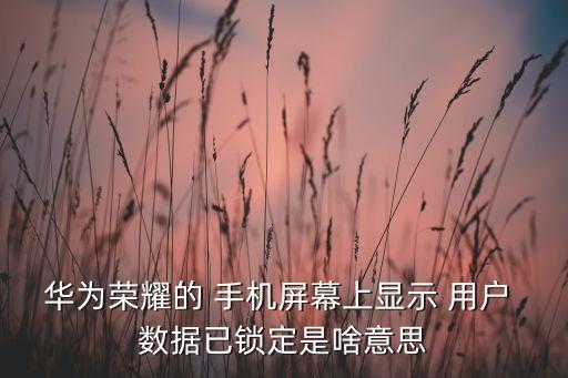 華為榮耀的 手機(jī)屏幕上顯示 用戶 數(shù)據(jù)已鎖定是啥意思