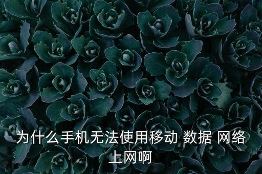 為什么手機(jī)無(wú)法使用移動(dòng) 數(shù)據(jù) 網(wǎng)絡(luò)上網(wǎng)啊