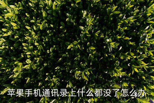 iPhone 數據突然全沒了,iphone數據模式選擇哪一個比較好