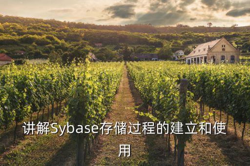 講解Sybase存儲(chǔ)過(guò)程的建立和使用