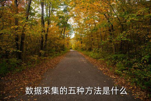  數(shù)據(jù)采集的五種方法是什么
