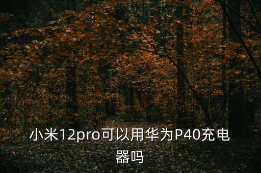 小米12pro可以用華為P40充電器嗎