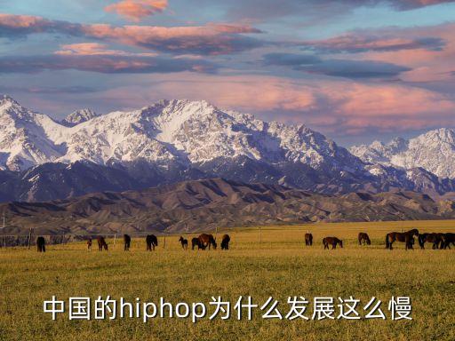 中國的hiphop為什么發(fā)展這么慢