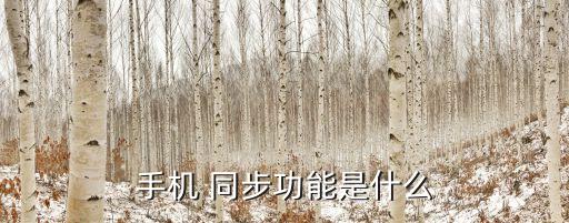 安卓 自動(dòng)同步數(shù)據(jù),安卓手機(jī)如何同步數(shù)據(jù)到新手機(jī)