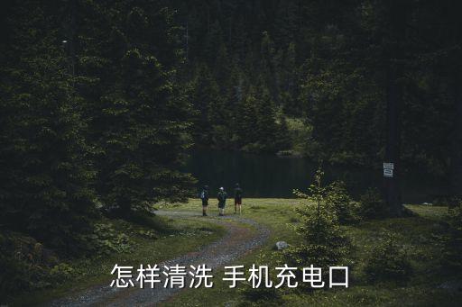 怎樣清洗 手機(jī)充電口