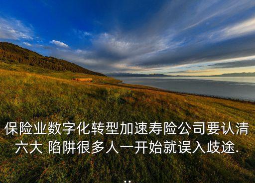 保險業(yè)數(shù)字化轉(zhuǎn)型加速壽險公司要認清六大 陷阱很多人一開始就誤入歧途...