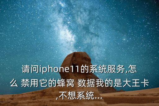 請問iphone11的系統(tǒng)服務,怎么 禁用它的蜂窩 數(shù)據我的是大王卡,不想系統(tǒng)...