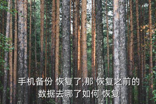  手機備份 恢復了,那 恢復之前的 數(shù)據(jù)去哪了如何 恢復