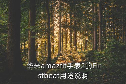 華米智芯2數(shù)據(jù),華米手表 keep同步數(shù)據(jù)