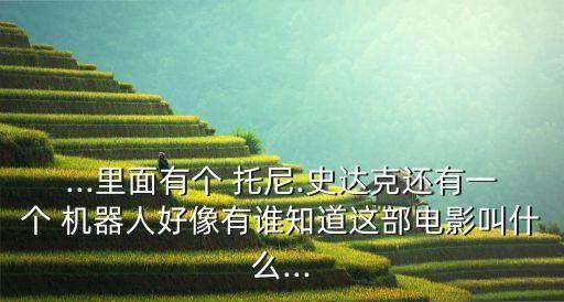 ...里面有個 托尼.史達(dá)克還有一個 機(jī)器人好像有誰知道這部電影叫什么...