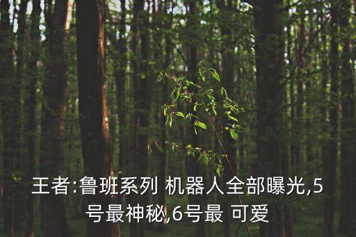 機(jī)器人好可愛呀,酒店機(jī)器人好可愛