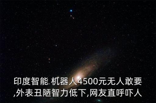 印度智能 機(jī)器人4500元無人敢要,外表丑陋智力低下,網(wǎng)友直呼嚇人